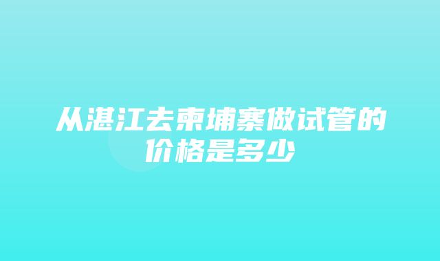 从湛江去柬埔寨做试管的价格是多少