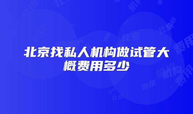 北京找私人机构做试管大概费用多少