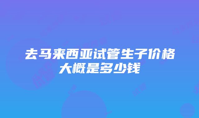 去马来西亚试管生子价格大概是多少钱