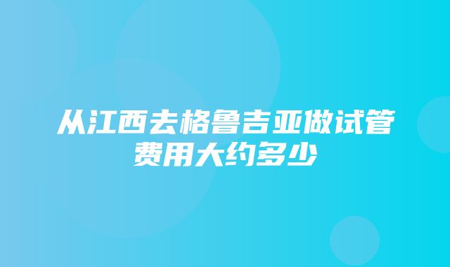 从江西去格鲁吉亚做试管费用大约多少