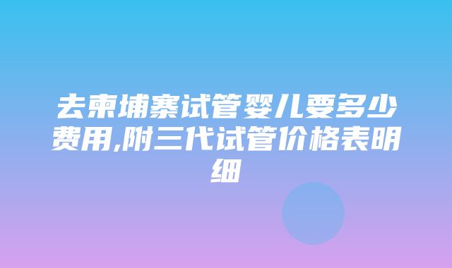 去柬埔寨试管婴儿要多少费用,附三代试管价格表明细