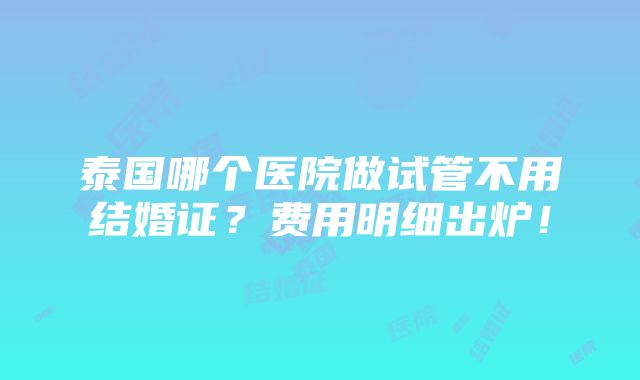 泰国哪个医院做试管不用结婚证？费用明细出炉！