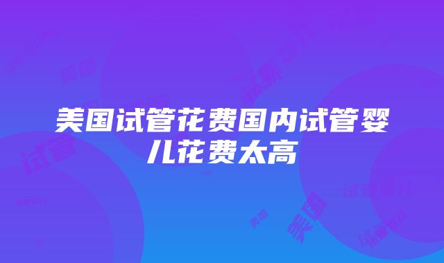 美国试管花费国内试管婴儿花费太高