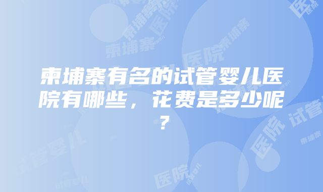 柬埔寨有名的试管婴儿医院有哪些，花费是多少呢？