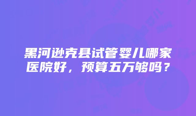 黑河逊克县试管婴儿哪家医院好，预算五万够吗？