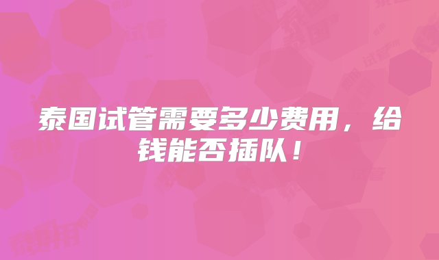 泰国试管需要多少费用，给钱能否插队！