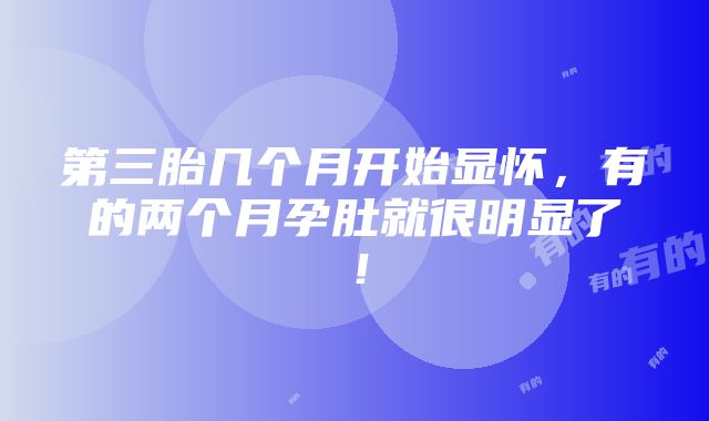 第三胎几个月开始显怀，有的两个月孕肚就很明显了！