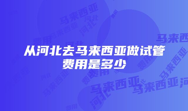 从河北去马来西亚做试管费用是多少