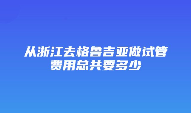 从浙江去格鲁吉亚做试管费用总共要多少