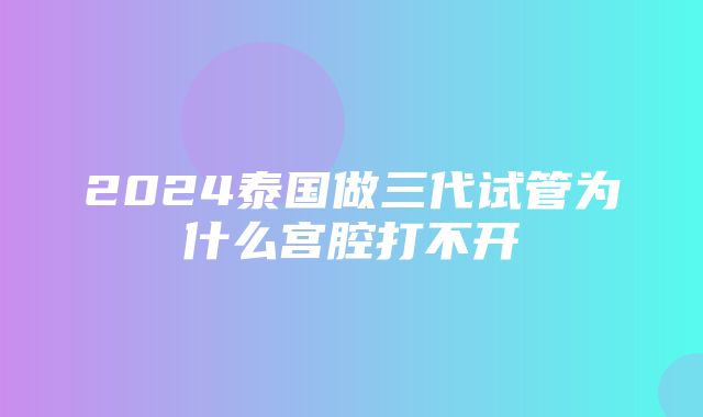 2024泰国做三代试管为什么宫腔打不开