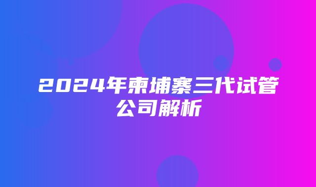 2024年柬埔寨三代试管公司解析