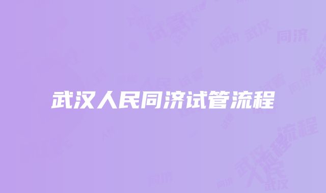 武汉人民同济试管流程