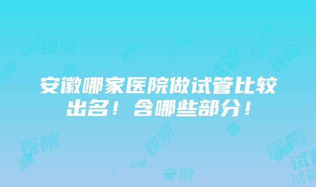 安徽哪家医院做试管比较出名！含哪些部分！