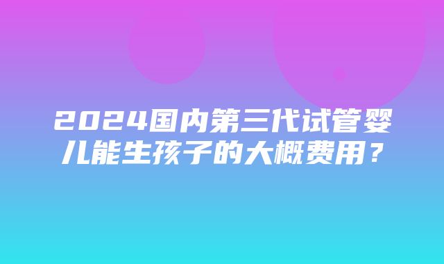 2024国内第三代试管婴儿能生孩子的大概费用？