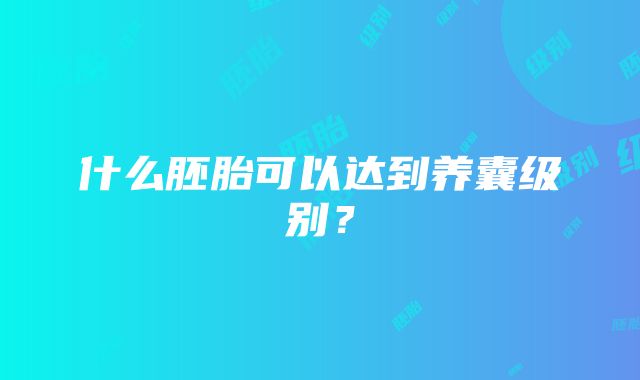 什么胚胎可以达到养囊级别？