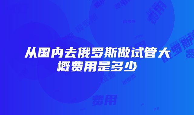 从国内去俄罗斯做试管大概费用是多少