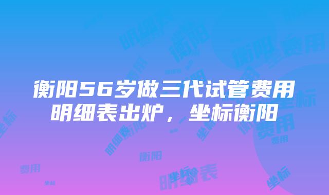 衡阳56岁做三代试管费用明细表出炉，坐标衡阳