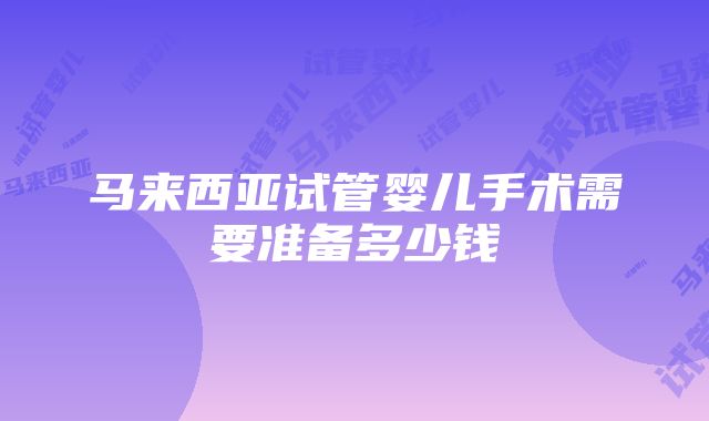 马来西亚试管婴儿手术需要准备多少钱