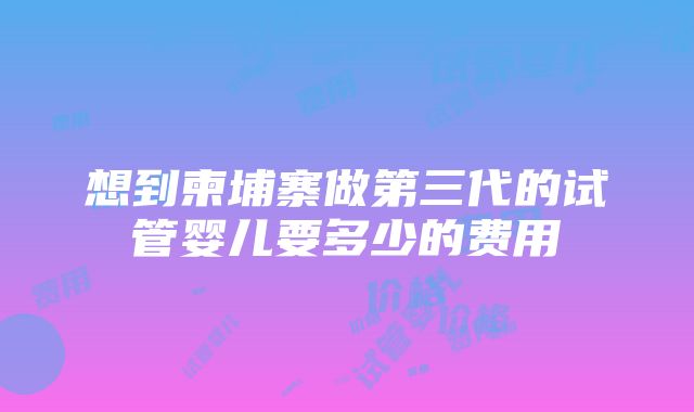 想到柬埔寨做第三代的试管婴儿要多少的费用