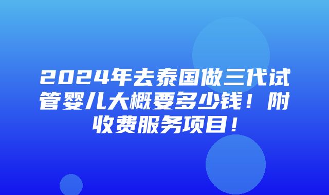 2024年去泰国做三代试管婴儿大概要多少钱！附收费服务项目！