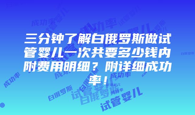 三分钟了解白俄罗斯做试管婴儿一次共要多少钱内附费用明细？附详细成功率！