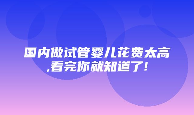 国内做试管婴儿花费太高,看完你就知道了!