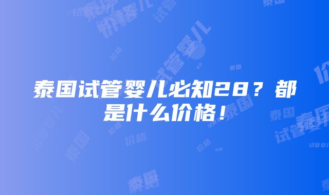 泰国试管婴儿必知28？都是什么价格！