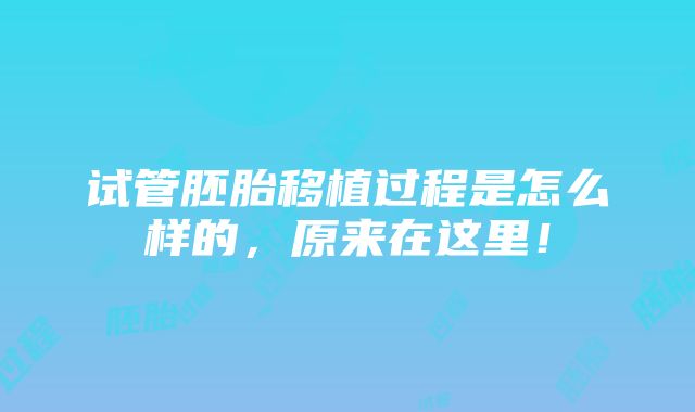 试管胚胎移植过程是怎么样的，原来在这里！