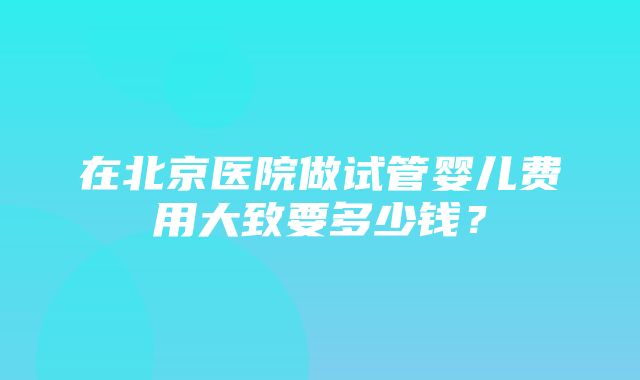 在北京医院做试管婴儿费用大致要多少钱？