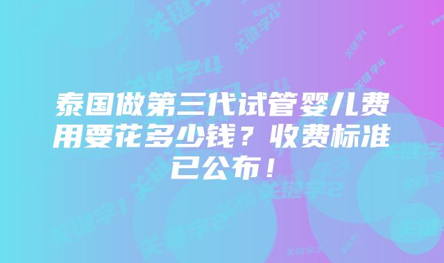 泰国做第三代试管婴儿费用要花多少钱？收费标准已公布！