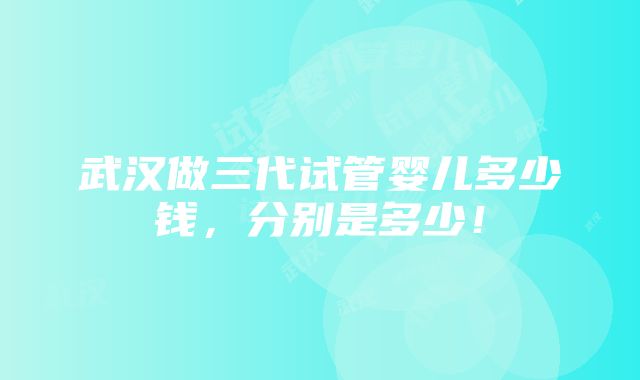 武汉做三代试管婴儿多少钱，分别是多少！