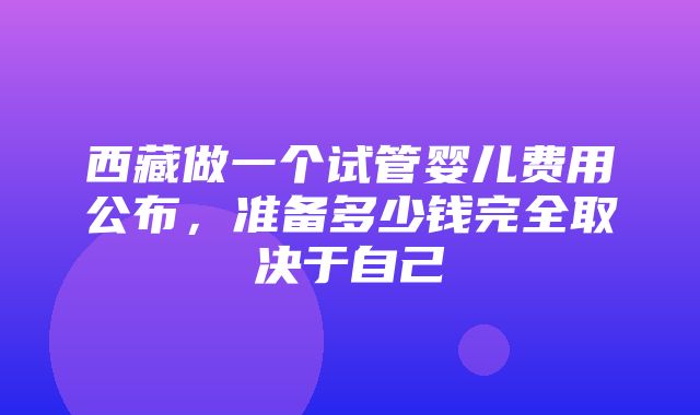 西藏做一个试管婴儿费用公布，准备多少钱完全取决于自己