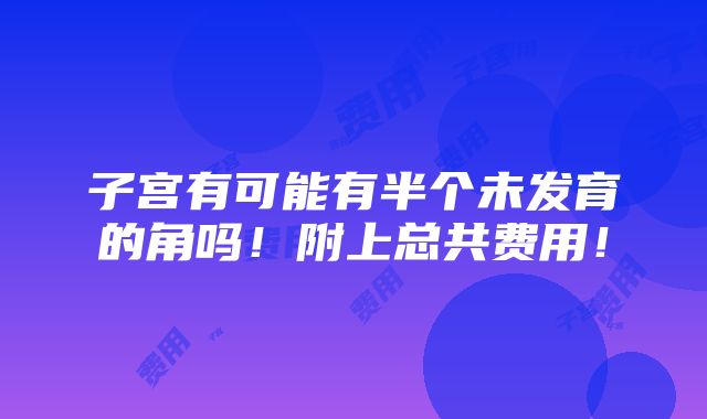 子宫有可能有半个未发育的角吗！附上总共费用！