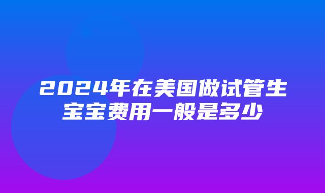 2024年在美国做试管生宝宝费用一般是多少