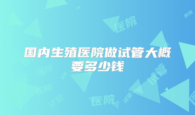 国内生殖医院做试管大概要多少钱