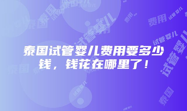 泰国试管婴儿费用要多少钱，钱花在哪里了！