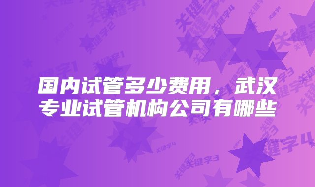 国内试管多少费用，武汉专业试管机构公司有哪些