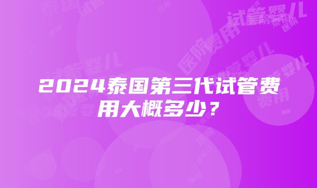 2024泰国第三代试管费用大概多少？