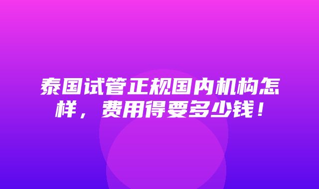 泰国试管正规国内机构怎样，费用得要多少钱！