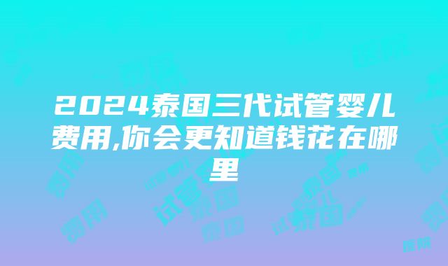 2024泰国三代试管婴儿费用,你会更知道钱花在哪里