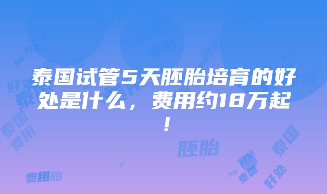 泰国试管5天胚胎培育的好处是什么，费用约18万起！