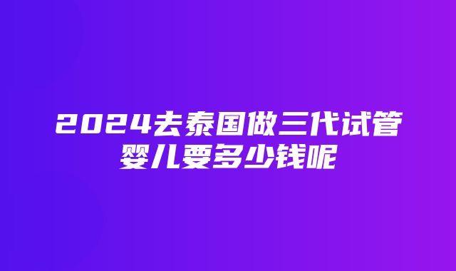 2024去泰国做三代试管婴儿要多少钱呢