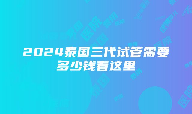 2024泰国三代试管需要多少钱看这里