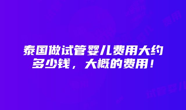 泰国做试管婴儿费用大约多少钱，大概的费用！