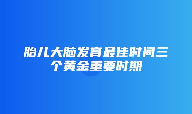 胎儿大脑发育最佳时间三个黄金重要时期