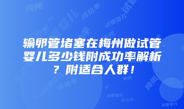 输卵管堵塞在梅州做试管婴儿多少钱附成功率解析？附适合人群！