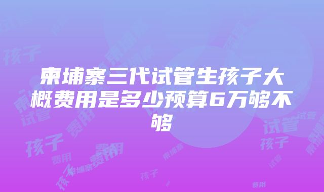 柬埔寨三代试管生孩子大概费用是多少预算6万够不够