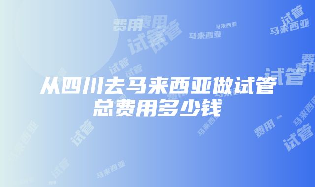 从四川去马来西亚做试管总费用多少钱