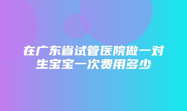 在广东省试管医院做一对生宝宝一次费用多少