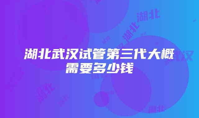 湖北武汉试管第三代大概需要多少钱